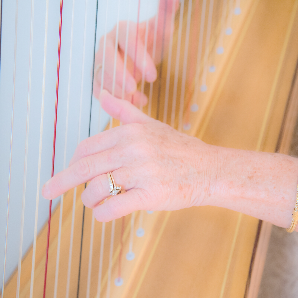 Denver Harpist Barbara Lepke-Sims Playing Harp